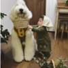 Japanese Grandmother Captures Adorable Bond Between 1-Year-Old Girl And Giant Poodle