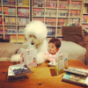 Japanese Grandmother Captures Adorable Bond Between 1-Year-Old Girl And Giant Poodle