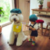 Japanese Grandmother Captures Adorable Bond Between 1-Year-Old Girl And Giant Poodle
