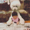 Japanese Grandmother Captures Adorable Bond Between 1-Year-Old Girl And Giant Poodle