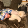 Japanese Grandmother Captures Adorable Bond Between 1-Year-Old Girl And Giant Poodle