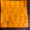 Cat Lives Double Life And Helps Owner And Neighbours Become Pen Pals