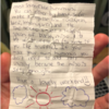 Cat Lives Double Life And Helps Owner And Neighbours Become Pen Pals