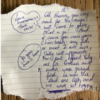 Cat Lives Double Life And Helps Owner And Neighbours Become Pen Pals