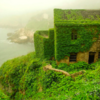 Nature Reclaims Abandoned Fishing Village In China Making It a Nature Wonderland