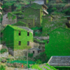 Nature Reclaims Abandoned Fishing Village In China Making It a Nature Wonderland