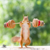 Photographer Captures Adorable Photos Of Curious Wild Squirrels In Different Scenery