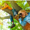 Study Discovers That Trees Improve Cognition In Kids’ Brain Development