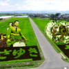Japanese Village Becomes Famous Tourist Attraction With Annual Massive Rice Paddy Art