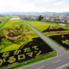 Japanese Village Becomes Famous Tourist Attraction With Annual Massive Rice Paddy Art