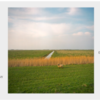 Take a Look At Peaceful Borderlines Between European Countries