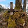 Sculpture Of Jesus Slowly Being Absorbed By Huge Tree In Abandoned Cemetery