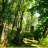 Sculpture Of Jesus Slowly Being Absorbed By Huge Tree In Abandoned Cemetery