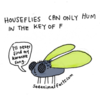 Cute Witty Illustrations Reveal “Sad Facts” About Animals We Didn’t Know
