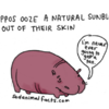 Cute Witty Illustrations Reveal “Sad Facts” About Animals We Didn’t Know