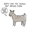 Cute Witty Illustrations Reveal “Sad Facts” About Animals We Didn’t Know
