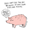 Cute Witty Illustrations Reveal “Sad Facts” About Animals We Didn’t Know
