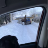Dog Confused By Strange Animal In Their Driveway