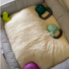 Adorable Pup Surprises Mom With His New Chose Of Unexpected Toys