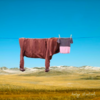 Artist Forms Playful Characters With Everyday Household Items And Vegetables