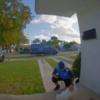 Adorable Cat Obsessed With Attentions Wants Pets From Every Delivery Guy She Meets