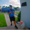 Adorable Cat Obsessed With Attentions Wants Pets From Every Delivery Guy She Meets
