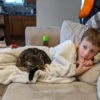 Adorable Cat Tries To Break Into The School To Be With Siblings