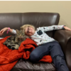 Adorable Cat Tries To Break Into The School To Be With Siblings
