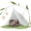 Cute Animal Illustrations Tell Sweet Stories Of All Types Of Creatures