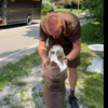UPS Drivers Shares Adorable Photos Of Cute Dogs They Meet