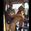 UPS Drivers Shares Adorable Photos Of Cute Dogs They Meet