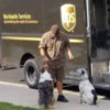 UPS Drivers Shares Adorable Photos Of Cute Dogs They Meet