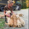 UPS Drivers Shares Adorable Photos Of Cute Dogs They Meet