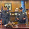 Sleepy Police Puppy Takes Nap Through Entire Swearing-In Ceremony