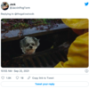 Little Dog Peeks Over Fence In Creepy Way And Is Making People Uncomfortable