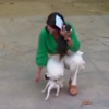 Adorable Puppy Interrupts Live News Broadcast And Causes Eruption Of Laughter