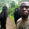 Gorilla Spends Final Moments With Man Who Saved Her