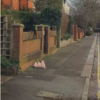 Woman Stops Her Car To Help Dog Who Dropped His Stuffed Pig