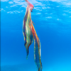Divers Get Stunning Rare Encounter With Extremely Rare Octopus