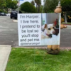 Clever Dog Pretends To Be Lost To Get Pets From Strangers