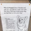 Family Puts Up Intro Sign For Super Social Pup Named Potato