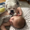 Little Boy Sneaks Out Of Bed To Snuggle Up With His Best Dog