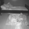 Little Boy Sneaks Out Of Bed To Snuggle Up With His Best Dog