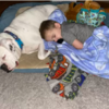 Little Boy Sneaks Out Of Bed To Snuggle Up With His Best Dog