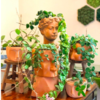 'Plant Daddy' Known For Indoor Jungle With Over 300 Indoor Plants