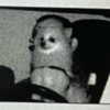Guy Is Shocked To Discover His Dog Got a Speeding Ticket