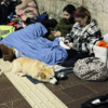 Devoted Pet Owners Sheltering With Beloved Pets In Ukraine Metro