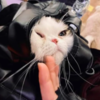 Devoted Pet Owners Sheltering With Beloved Pets In Ukraine Metro