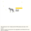 DNA Test Reveals Identity Of Mystery Animal Found Outside Woman’s Door
