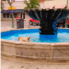 Sweet Dog Living His Very Best Life And Enjoying The Smaller Things In Life